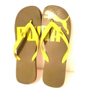 𝅺COPY - Puma Men's Flip Flops